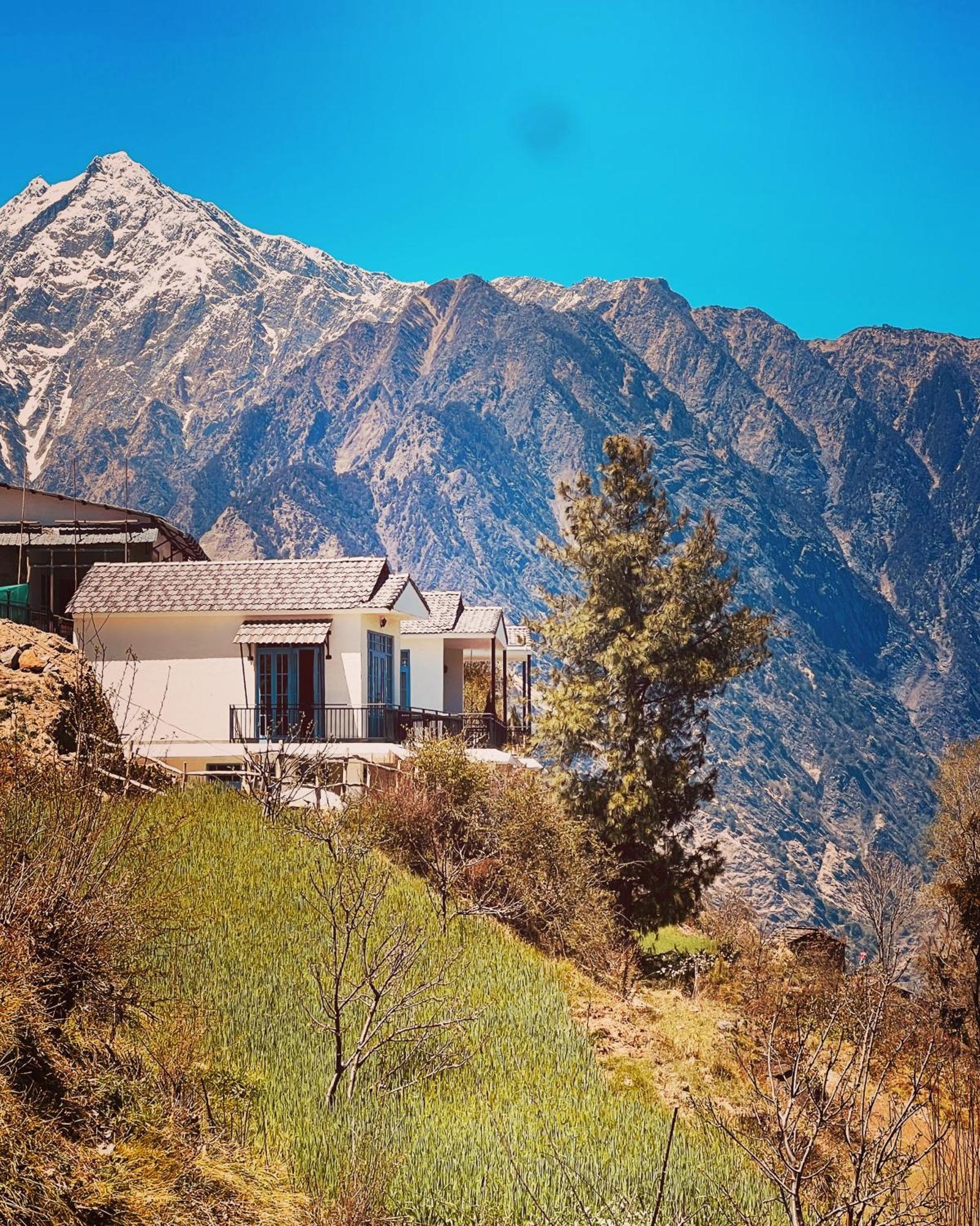 Faraway Cottages, Auli Joshīmath المظهر الخارجي الصورة